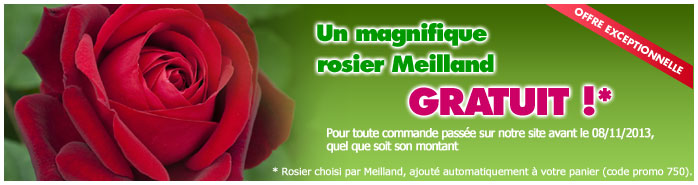 avantages meilland