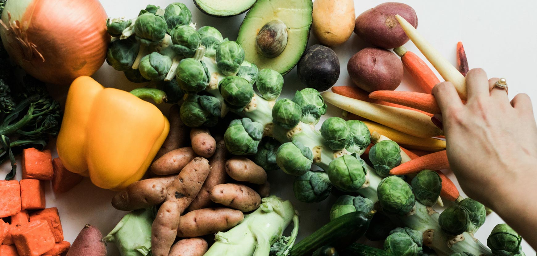 Nouveautés de graines et potager