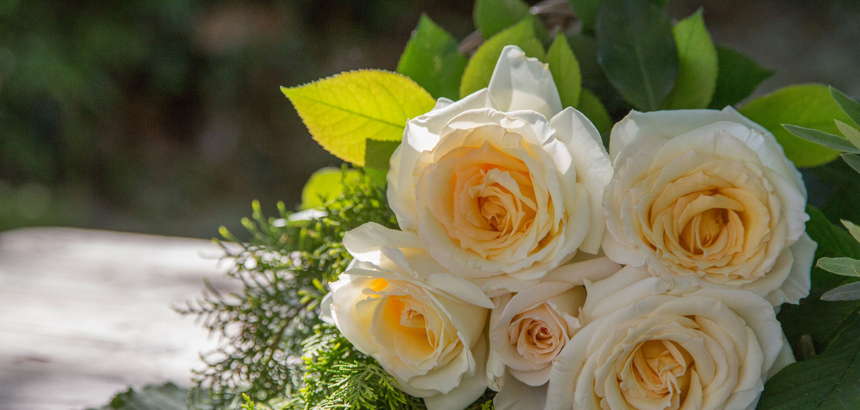 Rosiers par envie