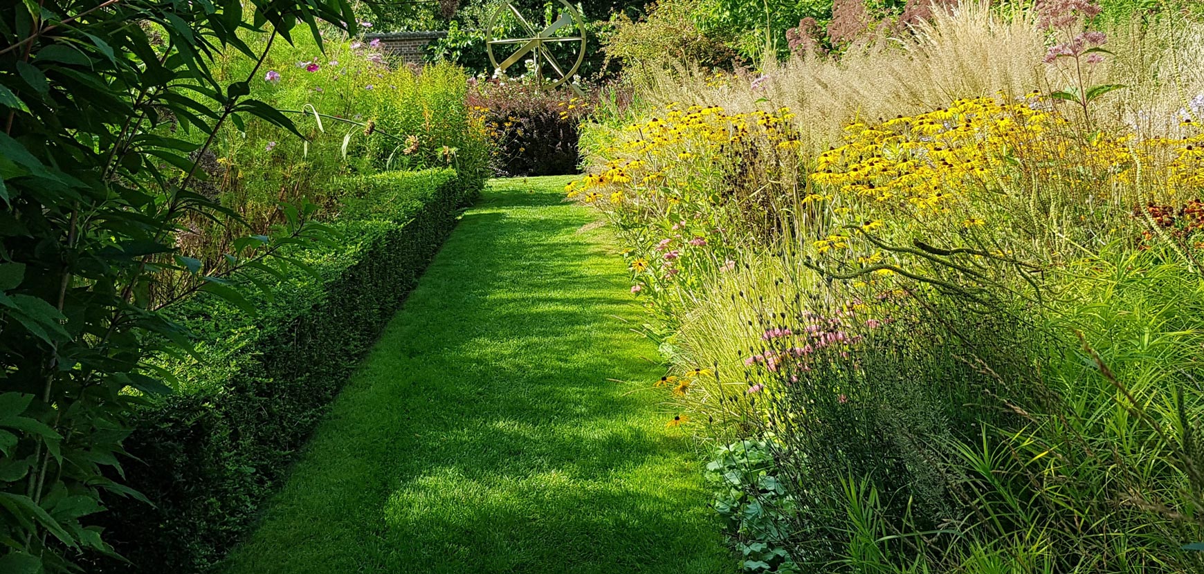 Vivaces à floraison automnale