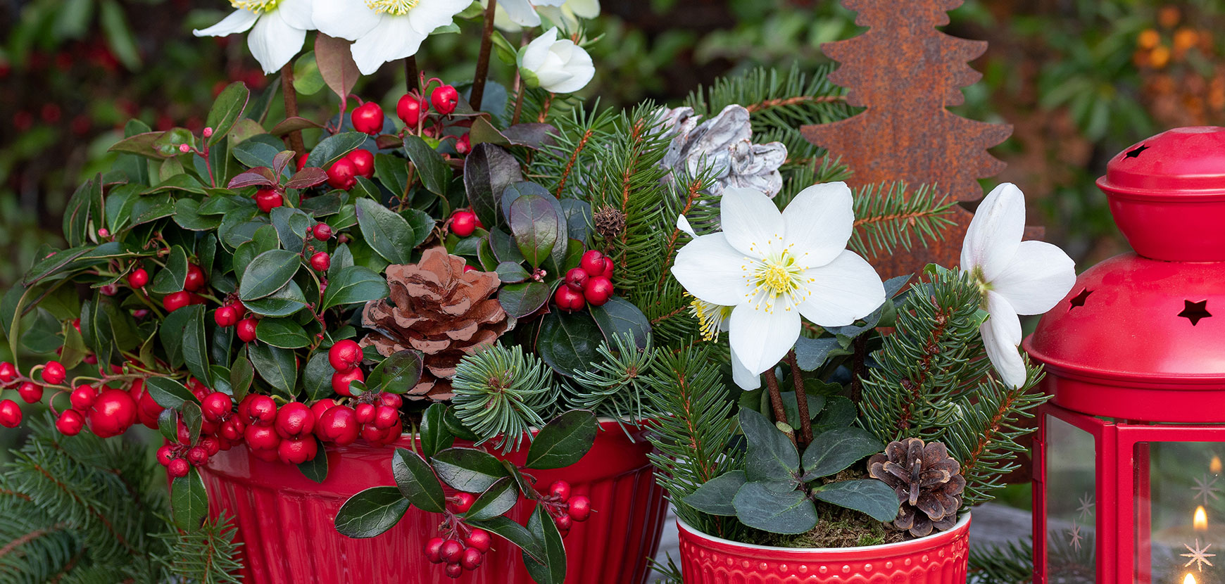 La boutique de Noël