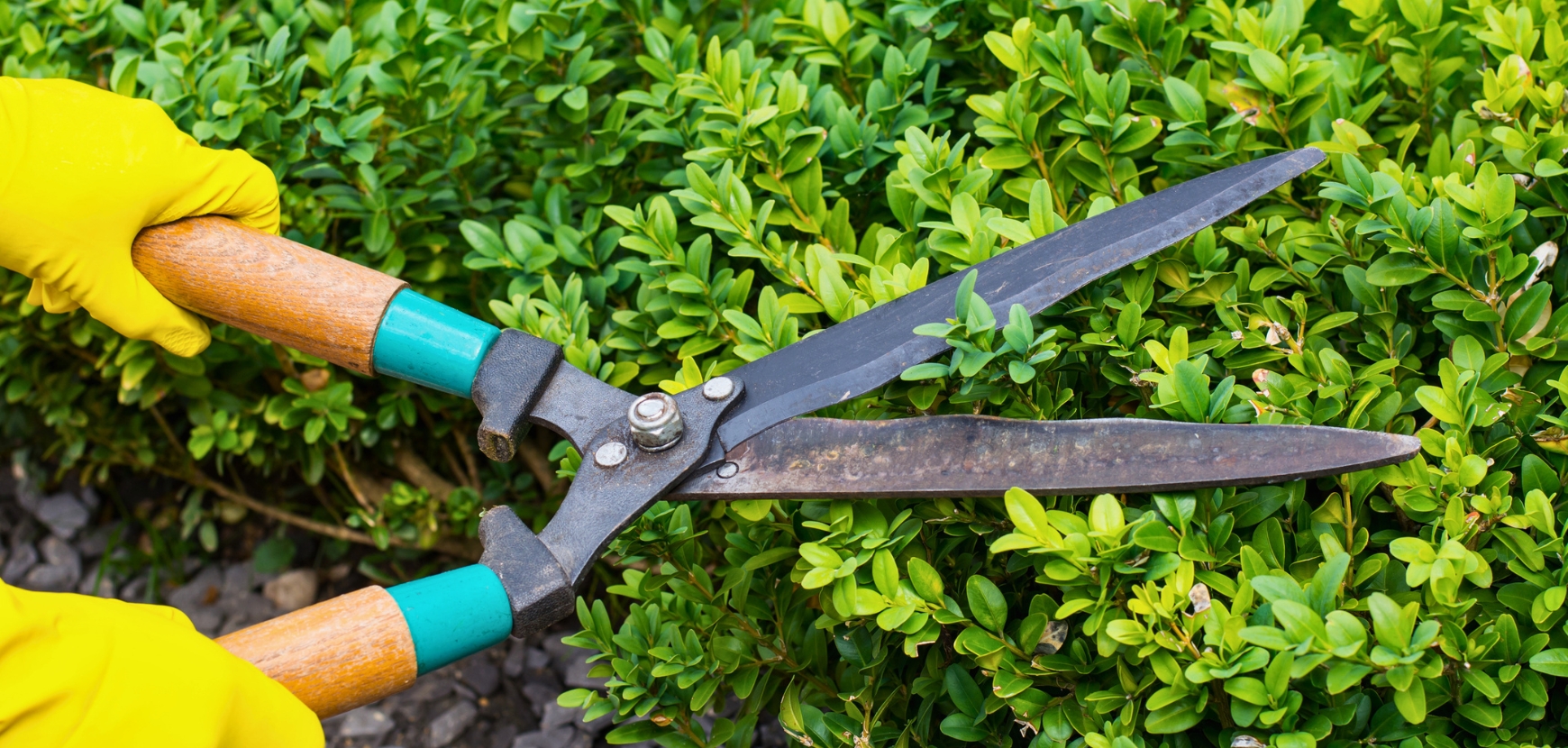 Outils de coupe
