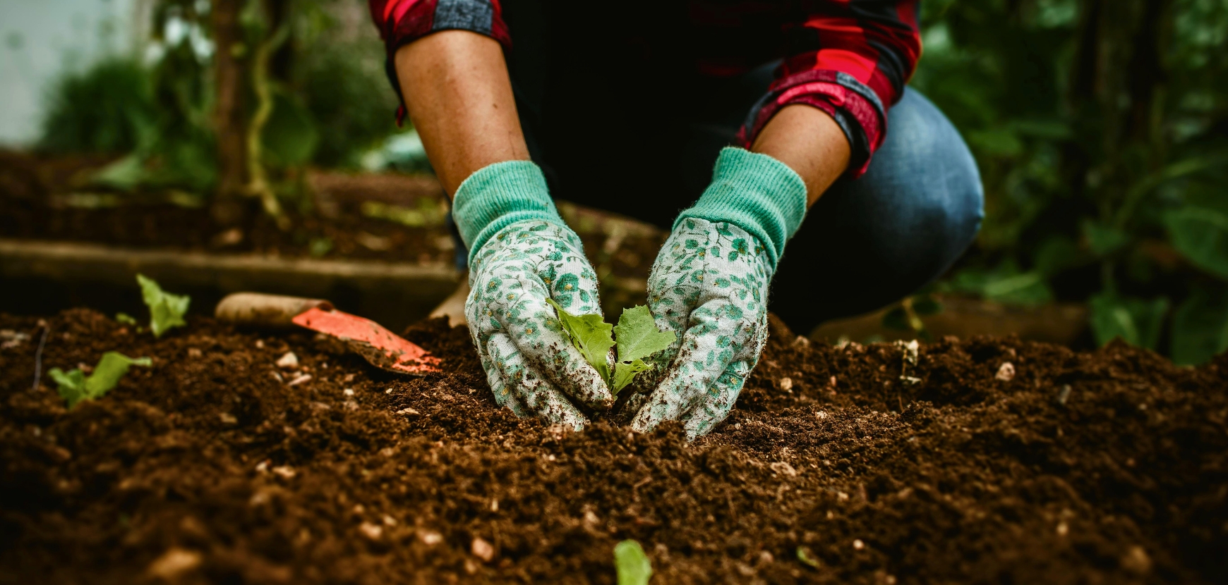 Gants et vêtements de jardinage