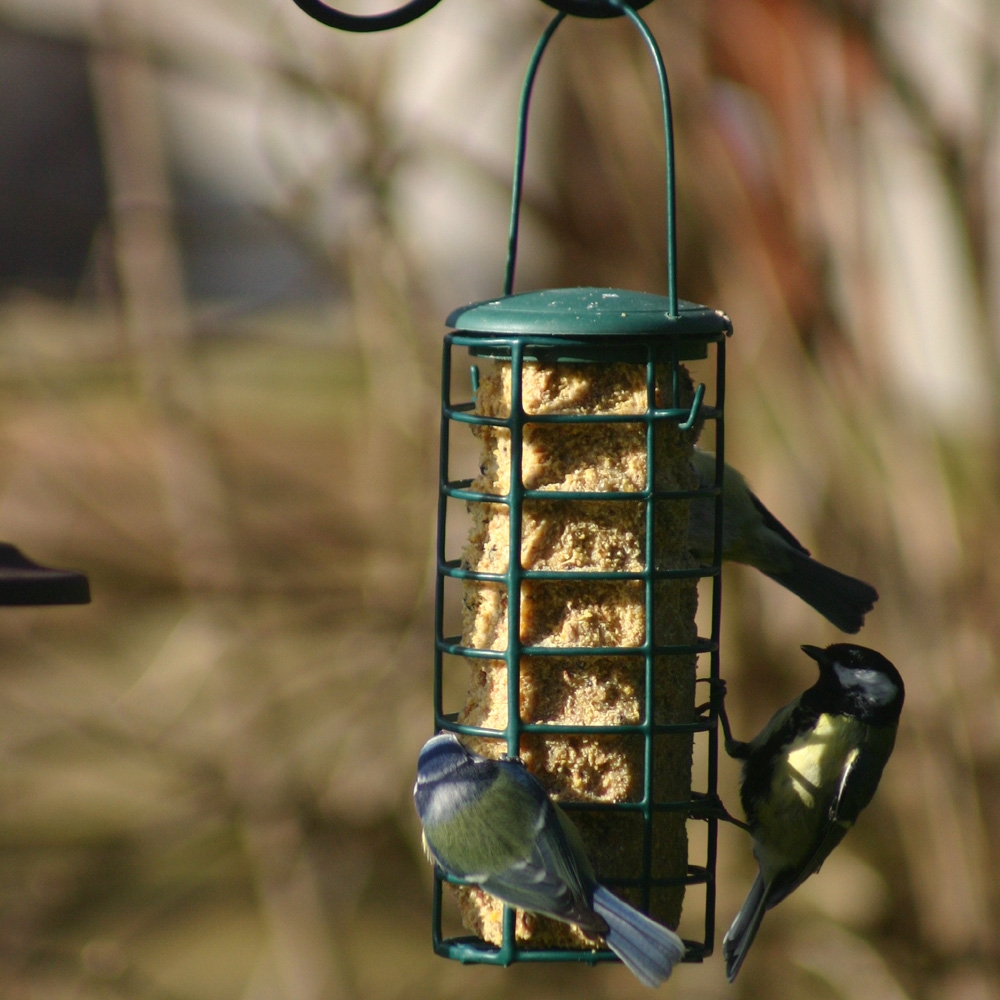Porte Cylindre De Graisse Oiseau