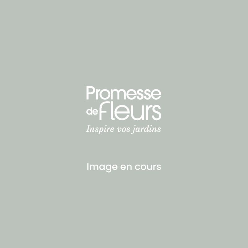 pédaliers