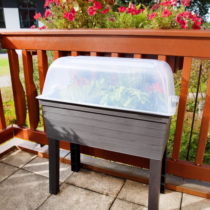Carré potager Urban sur pieds avec mini-serre
