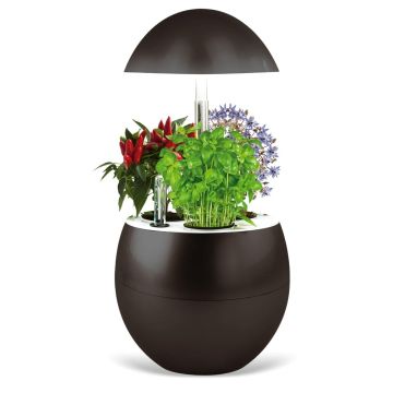 Potager d’intérieur Vilma noir charbon