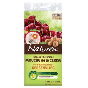 Pièges à phéromones mouche de la cerise