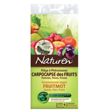 Pièges à phéromones carpocapse des fruits