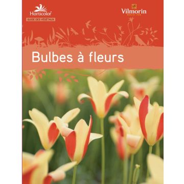 Guide des bulbes à fleurs