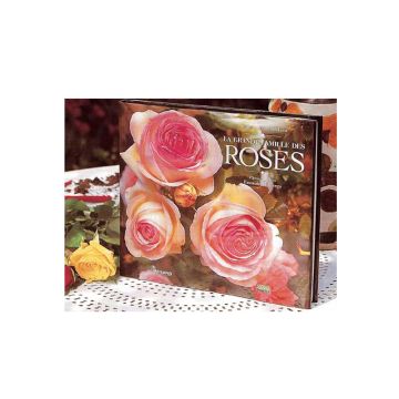 La grande famille des roses Meilland