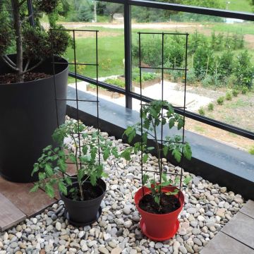 Treillage Citadin Petit Modèle
