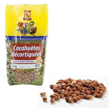 Cacahuètes décortiquées, nourritures pour animaux du jardin