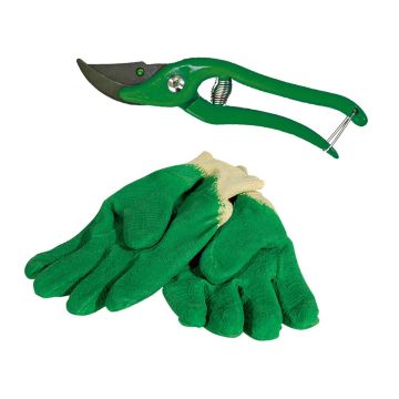 lot de gants pour rosiers et sécateur