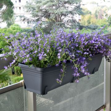 La jardinière Cocoripot Jade®  donne de la hauteur à vos fleurs !