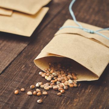 lot de 4 sachets de graines - cadeau fidélité