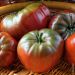 Tomate Noire de Crimée