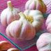 Ail rose du nord