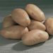 Pomme de terre Pompadour