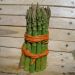 Asperge Voltaire Hybride