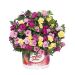 Calibrachoa Confetti Garden Hawaiian Mybonnie