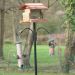 Palo Feeder Pôle Plus