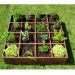Carré potager lign Z