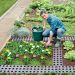Kit de 4 set de dalle de potager maxi