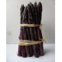 Asperge violette hybride