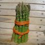 Asperge Voltaire Hybride
