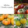 Collection de 3 tomates originales