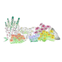 Collection vivaces massifs et bouquets