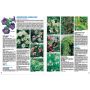 Livre plantes grimpantes