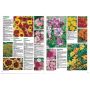 Livre fleurs annuelles et bisanuelles