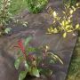 Toile de paillage tissée
