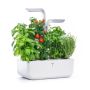 Potager d'intérieur Véritable® SMART