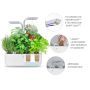 Potager d'intérieur Véritable® SMART