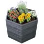 2 Kits de 2 carrés potager Ergo