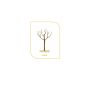 Forme d'un arbre fruitier en gobelet sans motte
