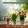 Rosier buisson CAMILLE CLAUDEL ® Meiroguste