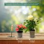 Rosier paysager REVE DE PARIS ® Meilowmye
