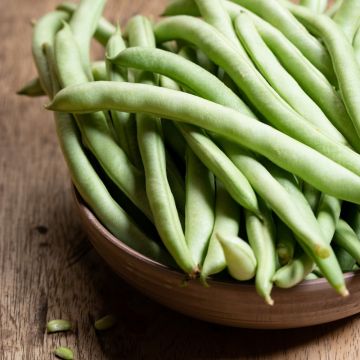 Haricot nain à filet sans fil Oxinel