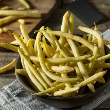 Haricot nain mangetout Goussdor