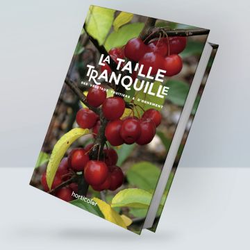 Taille Tranquille