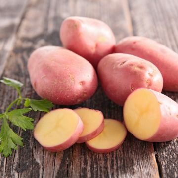 Pomme de Terre Désirée