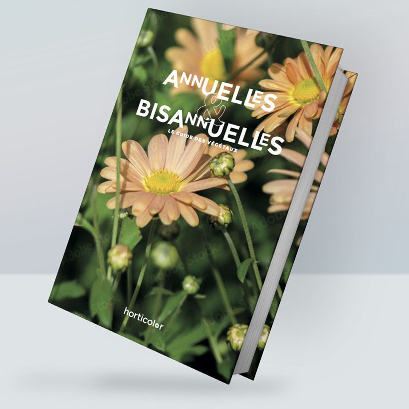Annuelles & Bisannuelles - le guide main product photo