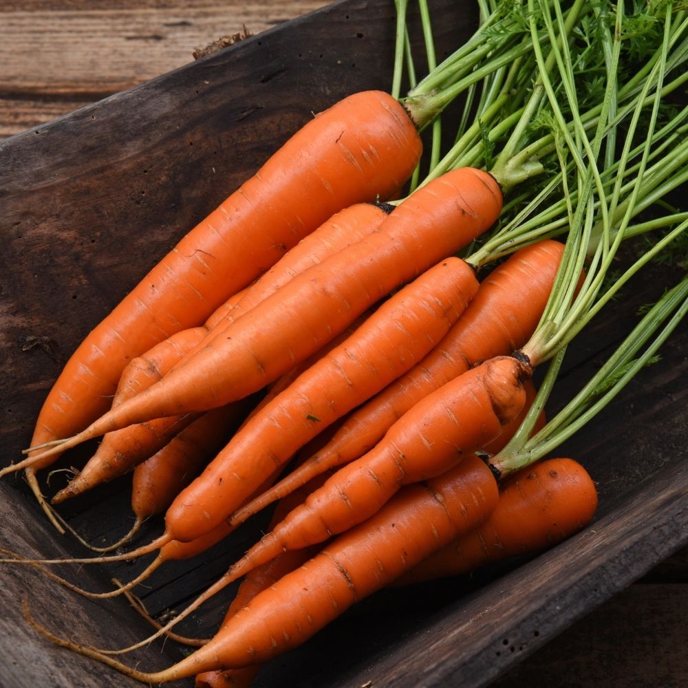 Carotte de Colmar à Cœur Rouge 2 main product photo