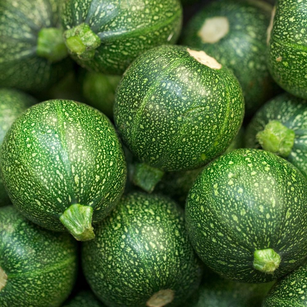 Courgette de Nice à fruit rond main product photo