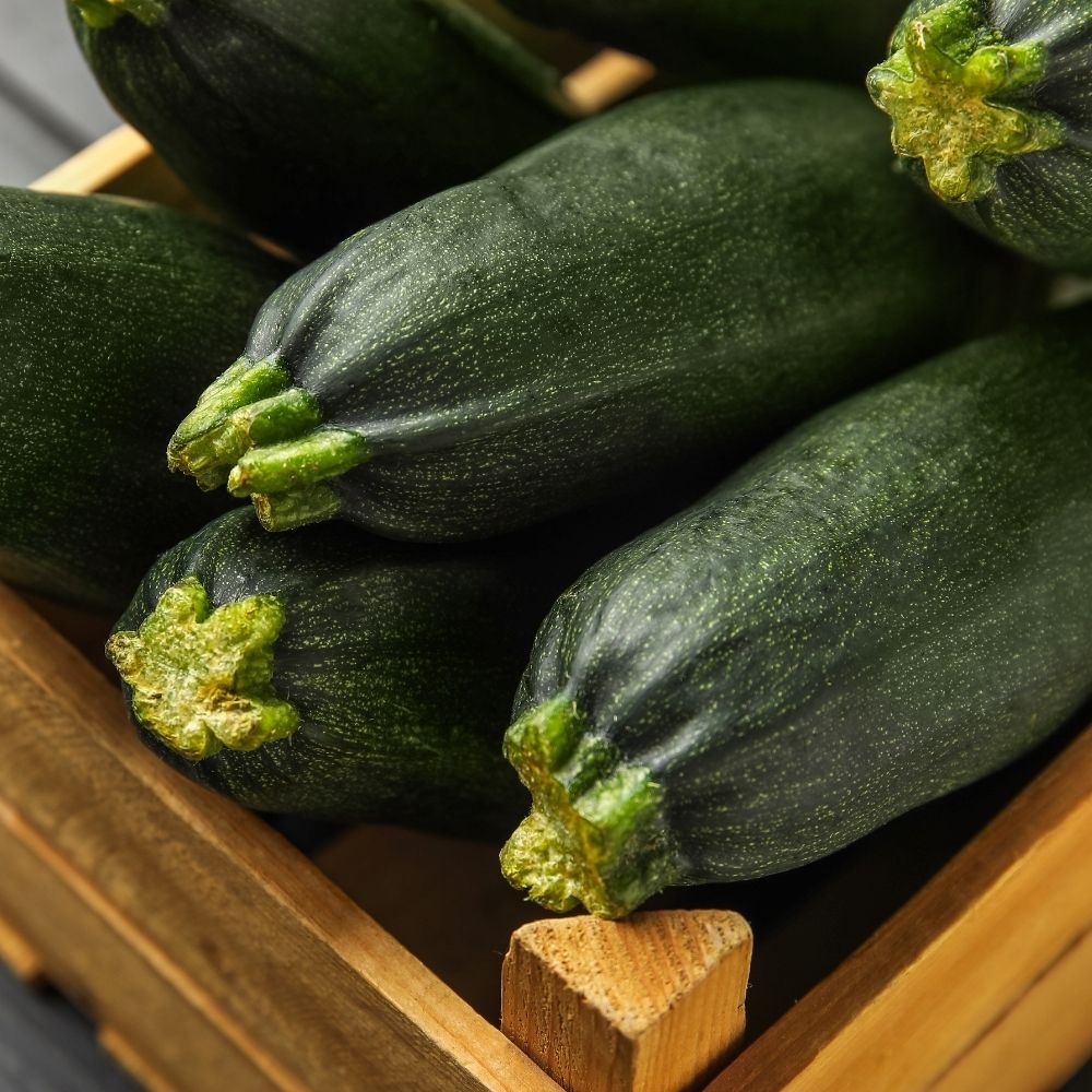 Courgette verte noire maraîchère BIO main product photo
