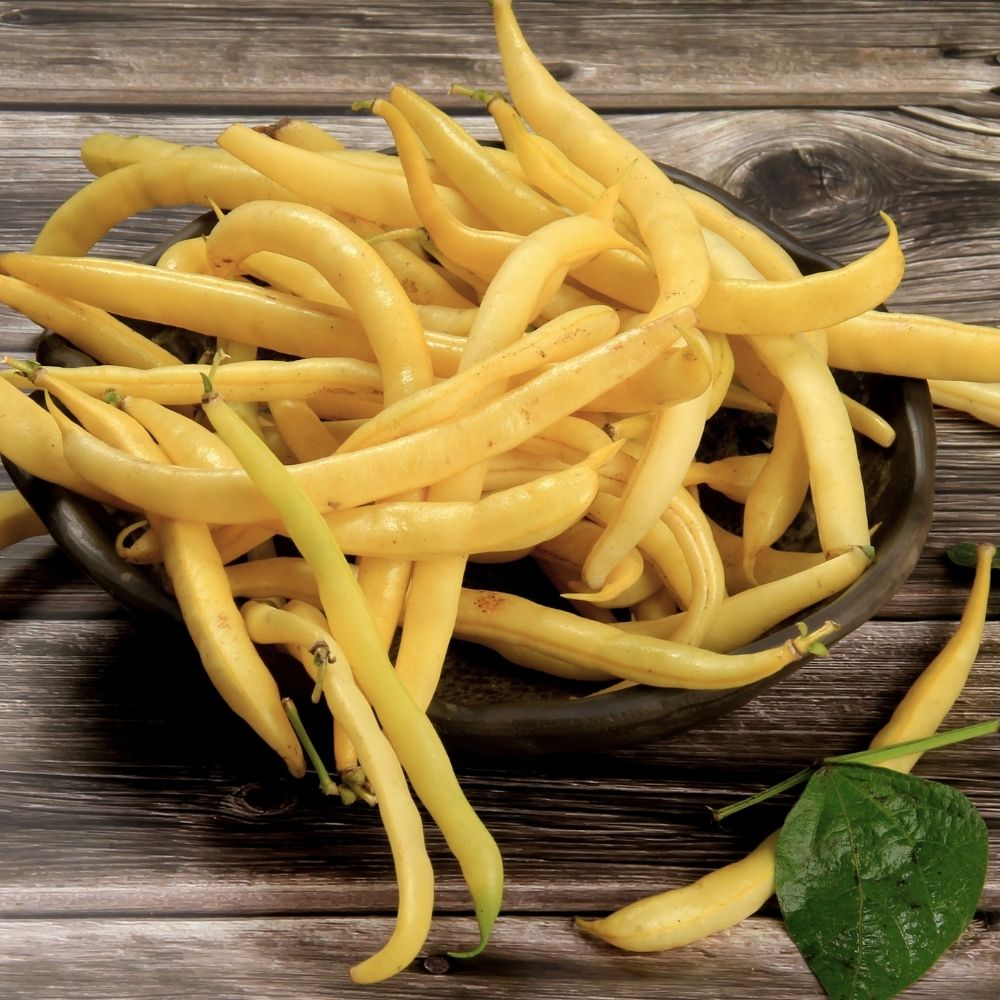 Haricot nain mangetout beurre de Rocquencourt main product photo